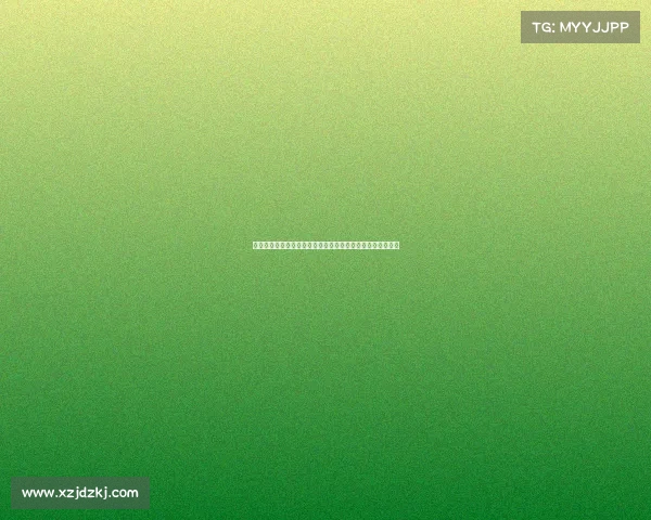 网球比赛技术统计分析：从发球成功率到破发机会的全面解读