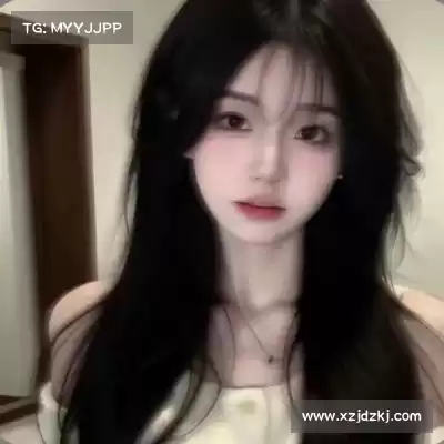 董治鹤